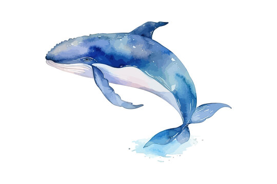 Watercolor whale. Vector illustration design.