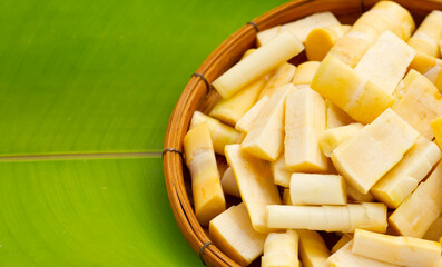 Bamboo shoots on green leaf