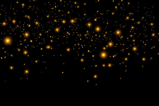 Golden fireflies floating in the dark