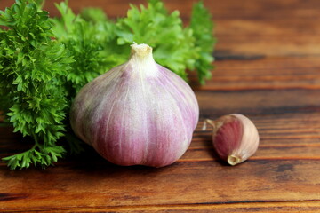  Fresh harvest of garlic lies on a wooden table.