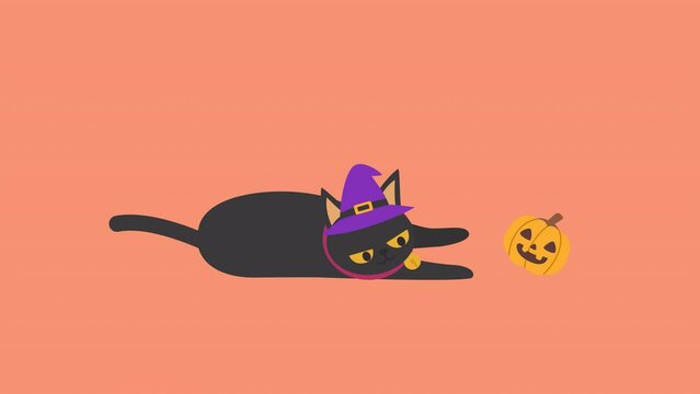 A cute black cat in a witch hat playing with a Halloween pumpkin to celebrate Halloween celebrities' holiday greetings. alpha isolate Vector illustration cartoon animation.