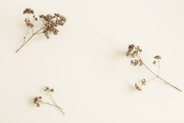 Dry Grass Branches frame on white background with copy space.  Floral card.Minimal botanical...