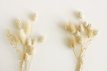 Dry fluffy bunny tails grass bouquets on white background. White Lagurus Ovatus flowers poster,...