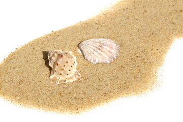 On a white background lies sand with shells.