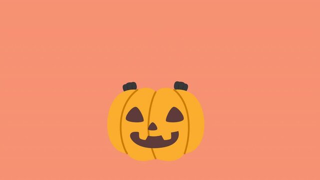 A cute black cat wearing a violet witch hat stays above the Halloween pumpkin to celebrate Halloween celebrities' holiday greetings. alpha isolate Vector illustration cartoon animation.