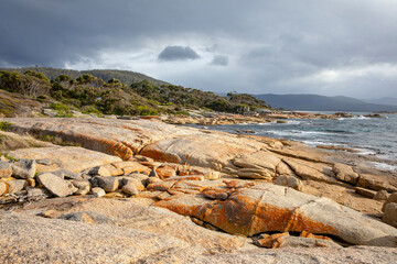 Tasmania, east coast at Bicheno with coloured lichen rocks,Australia
