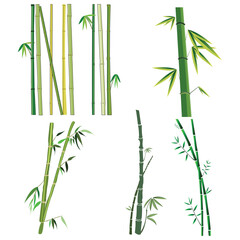 Fototapeta na wymiar Vector illustration of various bamboo green and brown decoration elements in cartoon flat style. Seamless vertical borders from stems, isolated leaves and sticks and fresh natural plant.