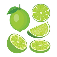 Vector illustration set of green lemon in cartoon style. Fresh healthy lime fruit with leaf hanging in branch.  Whole and sliced parts of green citrus image. Elements lemon image for logo, icon.