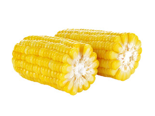 Corn on the cob kernels transparent png