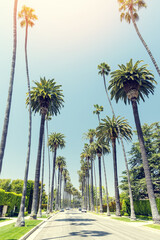 Beverly Hills drive lined with tall and majestic palm trees