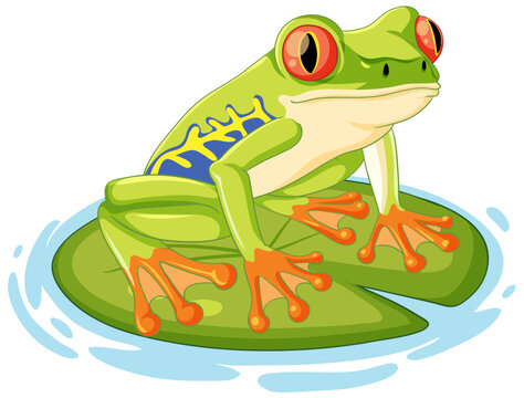 Green Frog Cartoon on Lily Pad
