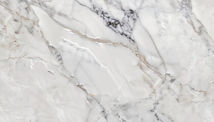 Marble granite white background wall surface black pattern graphic abstract light elegant gray for floor ceramic counter texture stone tile silver natural for interior decoration vector illustration.
