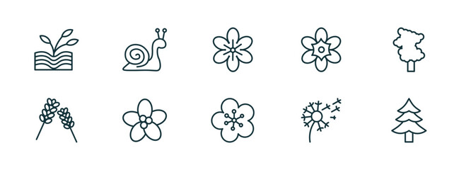 set of 10 linear icons from nature concept. outline icons such as plant growing on book, snail, geranium, orchid, dandelion, cedar vector