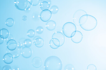 Fototapeta na wymiar Beautiful Transparent Blue Soap Bubbles Floating in The Air. White Space, Abstract Fun Background, Blue Gradient Blurred Background, Refreshing of Soap Suds Bubbles Water.