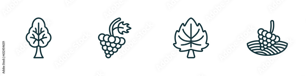 Poster set of 4 linear icons from nature concept. outline icons included tree with big foliage, grapevine, 
