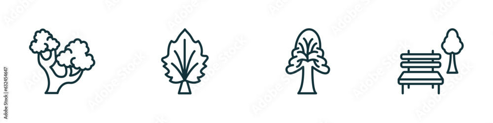 Poster set of 4 linear icons from nature concept. outline icons included northern red oak tree, silver mapl