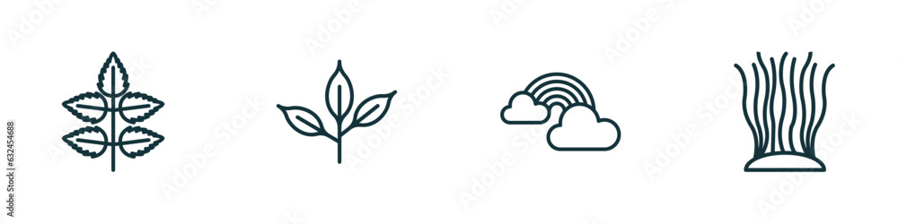 Poster set of 4 linear icons from nature concept. outline icons included rowan leaf, cherry leaf, rainbow b