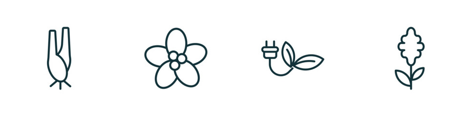 set of 4 linear icons from nature concept. outline icons included lemongrass, pointia, eco socket, hyacinth vector
