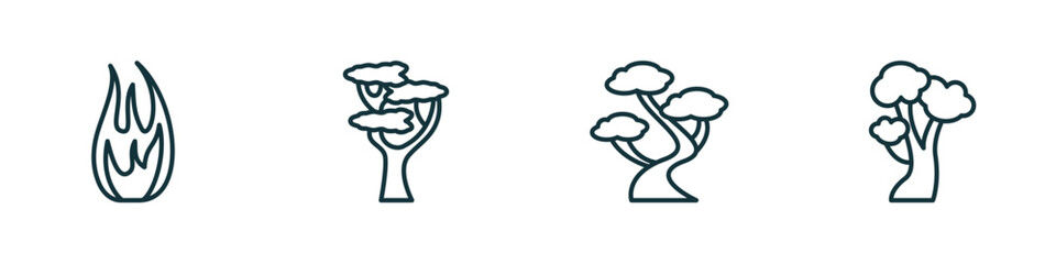 set of 4 linear icons from nature concept. outline icons included fire flame, eastern white pine tree, bonsai tree, american beech tree vector