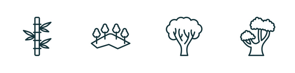 set of 4 linear icons from nature concept. outline icons included bamboo plant from japan, mountains with trees, paper birch tree, chestnut oak tree vector