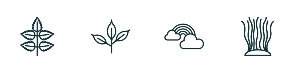 set of 4 linear icons from nature concept. outline icons included rowan leaf, cherry leaf, rainbow behind a cloud, fasciculate vector