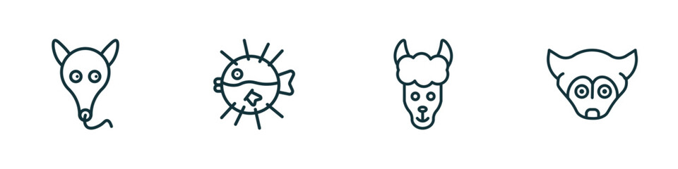 set of 4 linear icons from animals concept. outline icons included ant eater, globe fish, lama, siberian husky vector