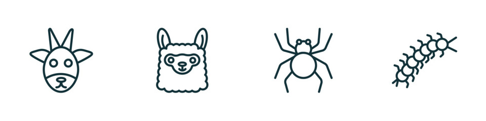 set of 4 linear icons from animals concept. outline icons included goat, llama, spider, centipede vector