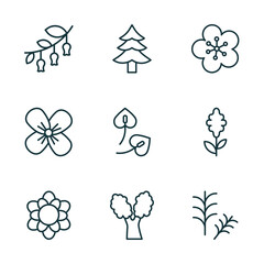 set of 9 linear icons from nature concept. outline icons such as hawthorn, cedar, orchid, magnolia, eastern cottonwood tree, rosemary vector