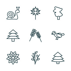 set of 9 linear icons from nature concept. outline icons such as snail, carnation, sassafras tree, gerbera, willow, red spruce tree vector
