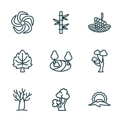 set of 9 linear icons from nature concept. outline icons such as whirlpool, bamboo plant from japan, vineyard, leafless tree, scarlet oak tree, japanese vector