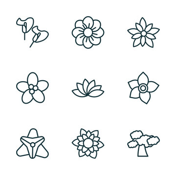 set of 9 linear icons from nature concept. outline icons such as calla, pansy, nymphea, gladiolus, dahlia, shadbush tree vector