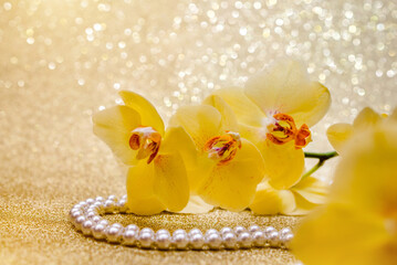 Fototapeta na wymiar yellow Orchid and pearl necklace on a shiny gold background 