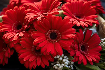 Foto op Plexiglas Beautiful red gerbera flowers bouquet closeup. Floral background. © YULIYA