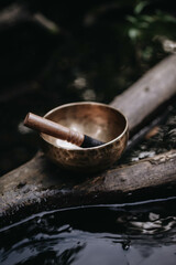 Tibetan brass singing bowl on a tree above a river.