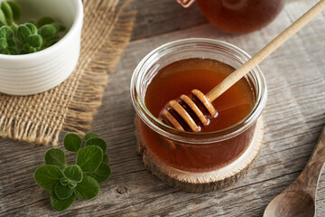 A jar of Coleus amboinicus syrup with fresh leaves