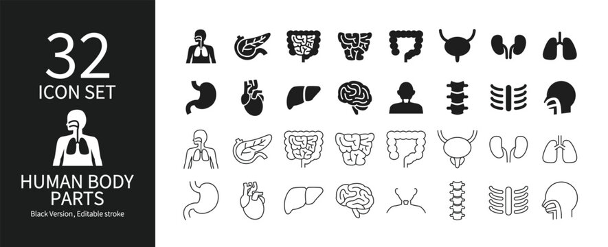 Various parts of the human body icon set