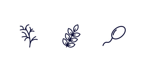 Obraz premium set of nature thin line icons. nature outline icons included cypress leaf, american mountain ash, fertilize clinic vector.