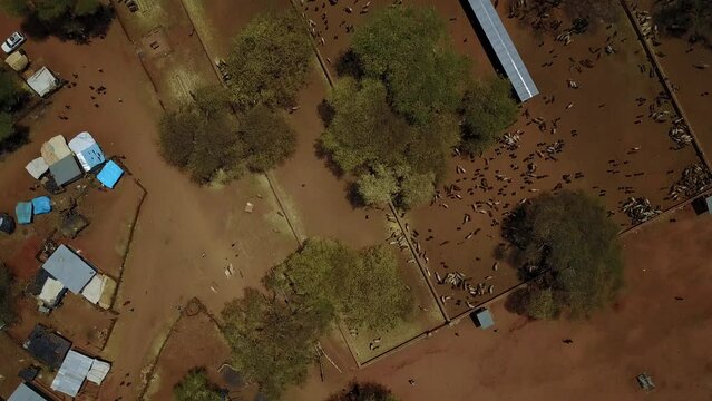 Aerial view of a Borana market Yabelo Ethiopia