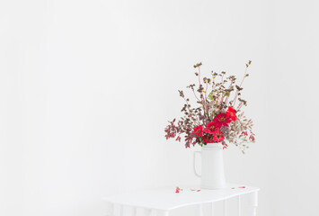 flowers in white jug on white background