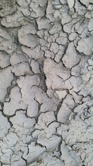  a close up of soil cracks