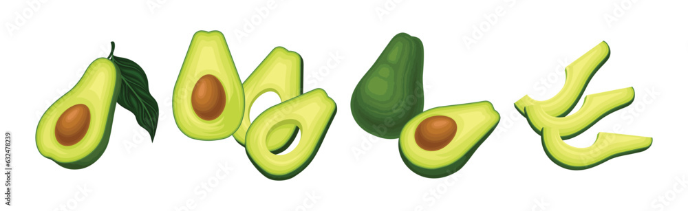 Poster Avocado or Alligator Pear as Large Edible Berry with Seed Vector Set