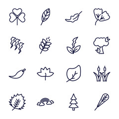 set of nature thin line icons. nature outline icons such as trifoliate ternate, dry leaf, damaged, natural energy, falcate, birch leaf, rainbow behind a cloud, spruce, obovate vector.