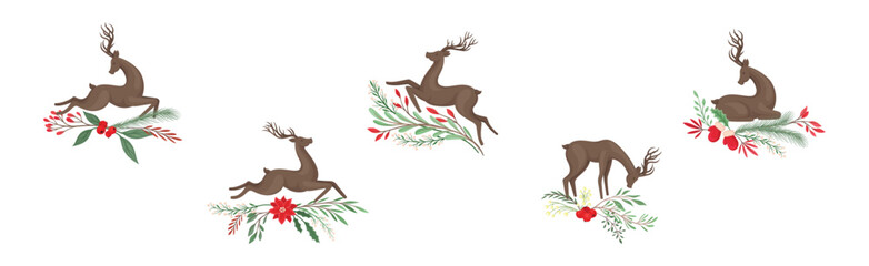 Young Brown Deer with Antlers and Winter Twigs Vector Set