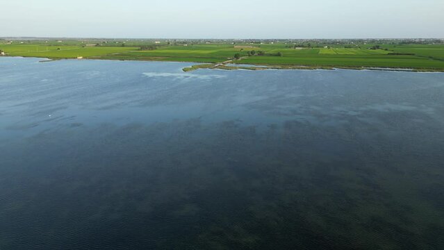 Aerial flight over wetlands and rice fields