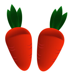 carrot orange vegetables delicious many carrots