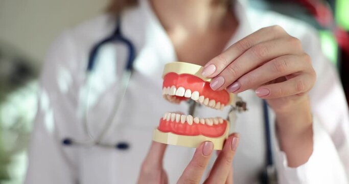 Dentist shows problem areas of teeth on artificial jaw closeup. Beautiful healthy teeth and veneer installation