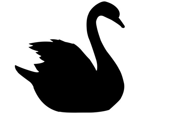 recommend clip art: swan silhouette