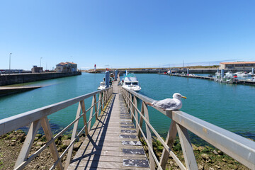  Cotinière harbor in the Oléron island