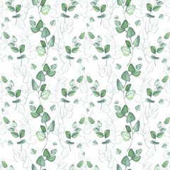 Eucalyptus seamless pattern. Branches of greenery. Botanical watercolor illustration for packaging design, wallpapers, pottery, covers