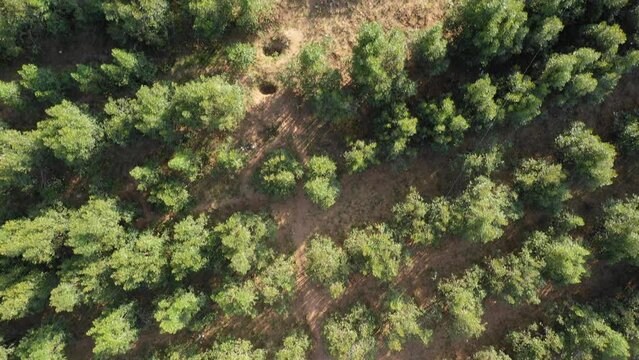 Aerial view of dengogo mosque Harari Region Dengogo Ethiopia